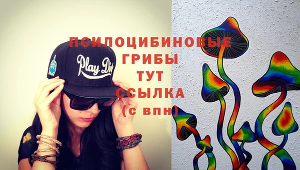 ПСИЛОЦИБИНОВЫЕ ГРИБЫ Костерёво