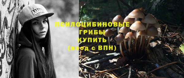 МДПВ Янаул