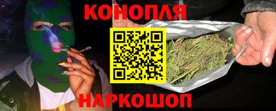 гашик Будённовск