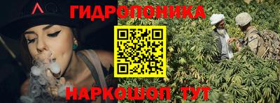 гашик Будённовск