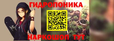 шишки Балашиха